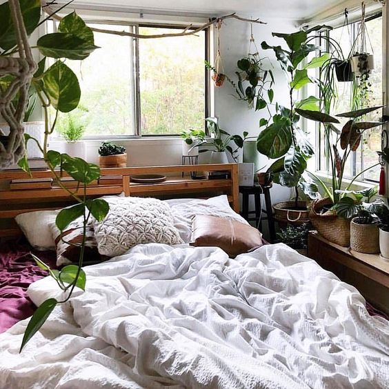 Indoor garden ideas for a cozy bedroom