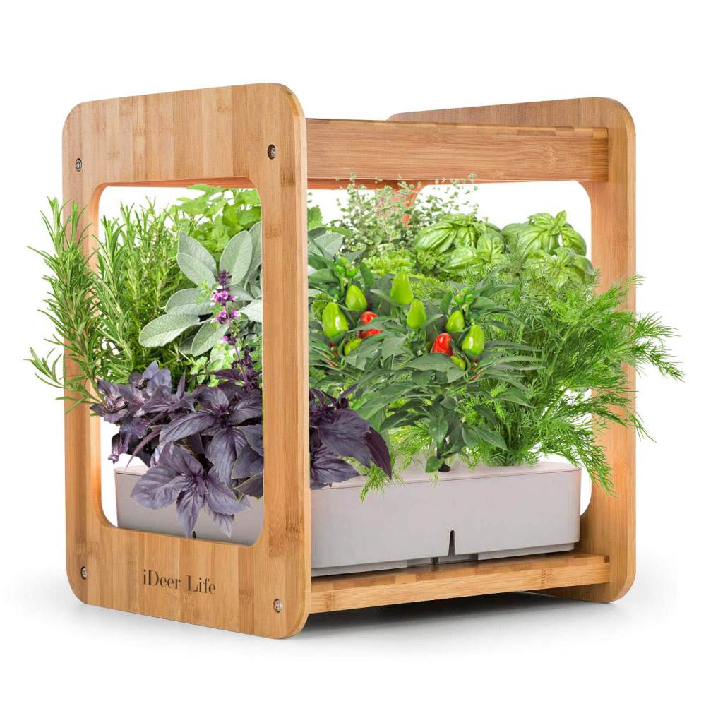 Best Indoor Herb Garden Kit for Beginner Gardeners