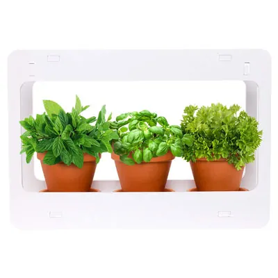 Mindful Design LED Indoor Herb Garden review
