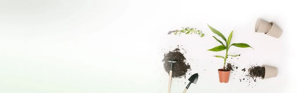 Gardening equipment and plants with potting soil on a white background.