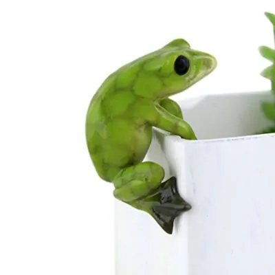 A green frog perched on the edge of a white container holding a guide on how to care for succulents.
