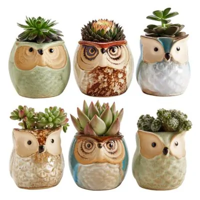 own ceramic pots for succulents