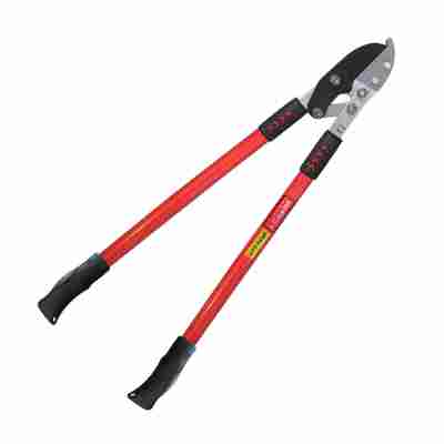 pair of loppers
