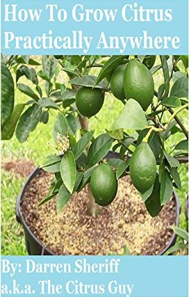 Book on how to care for a lemon tree
