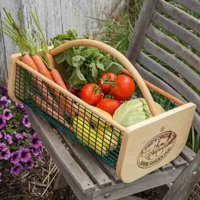 vegetables harvest bascket