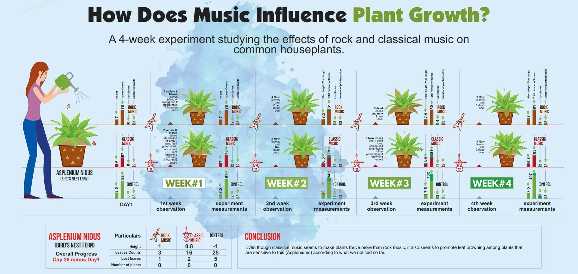 Music for plants experiment -Asplenium Nidus