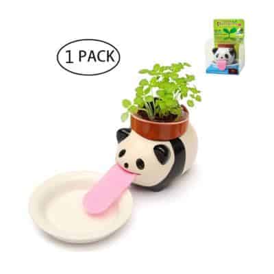 Cute panda planter