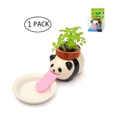 Cute panda planter