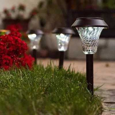 enchanted solar lights for paths