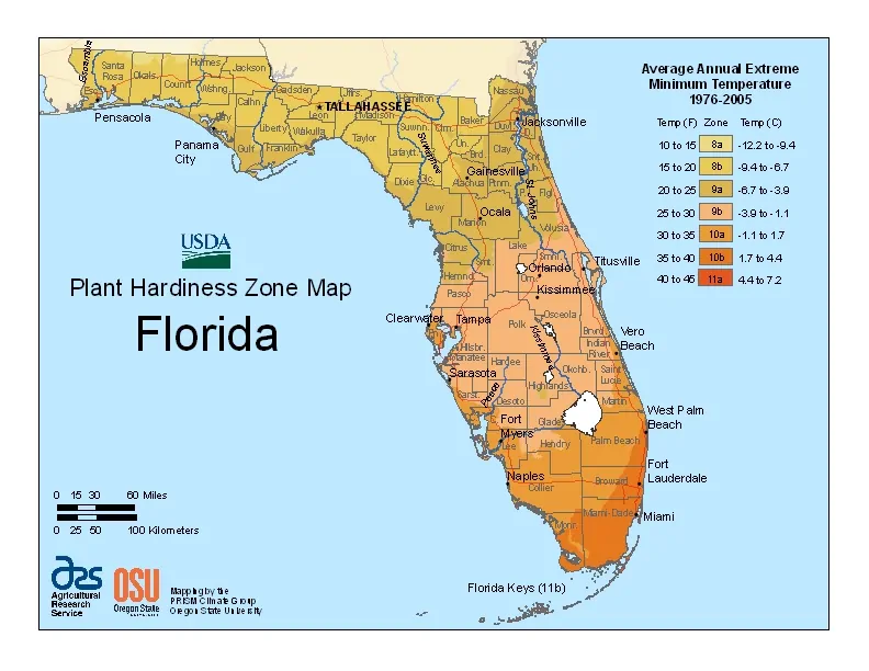 Florida USDA Zone Map