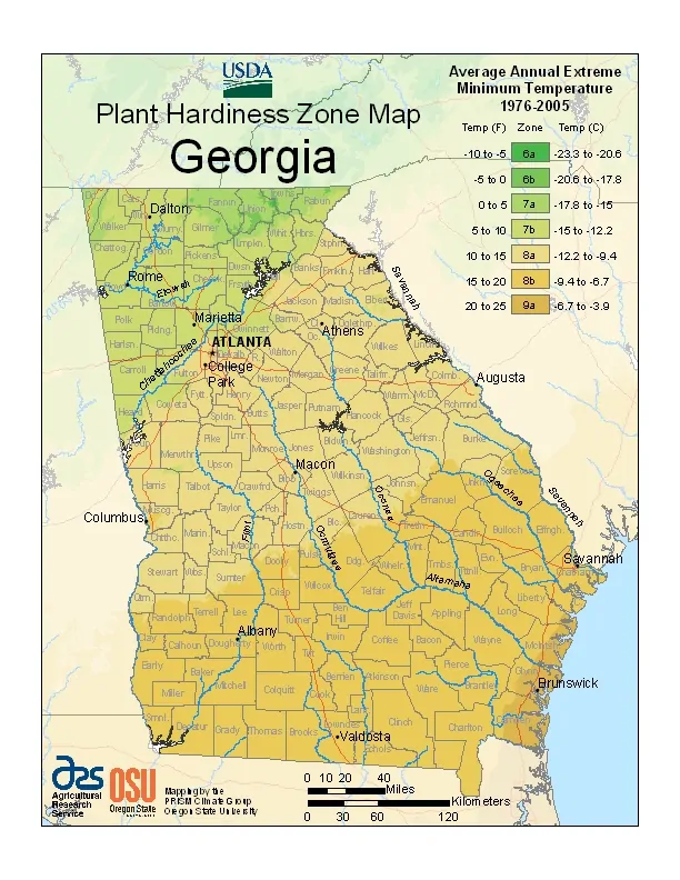 Georgia USDA Zone Map