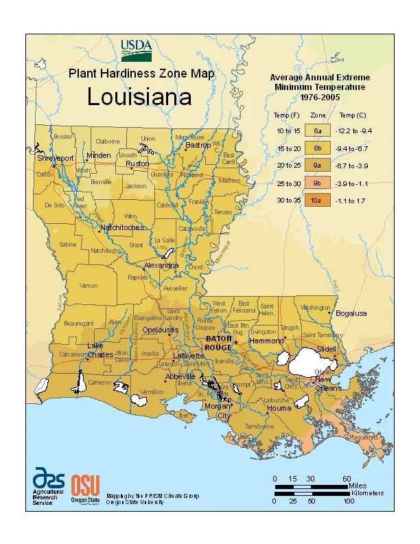 Louisiana USDA Zone Map