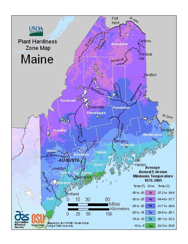 Maine USDA Zone Map