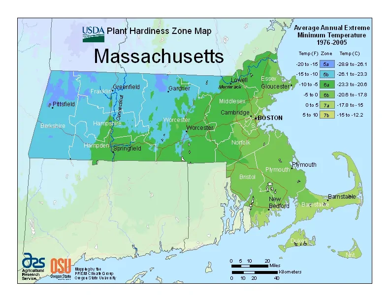 Massachusetts USDA Zone Map