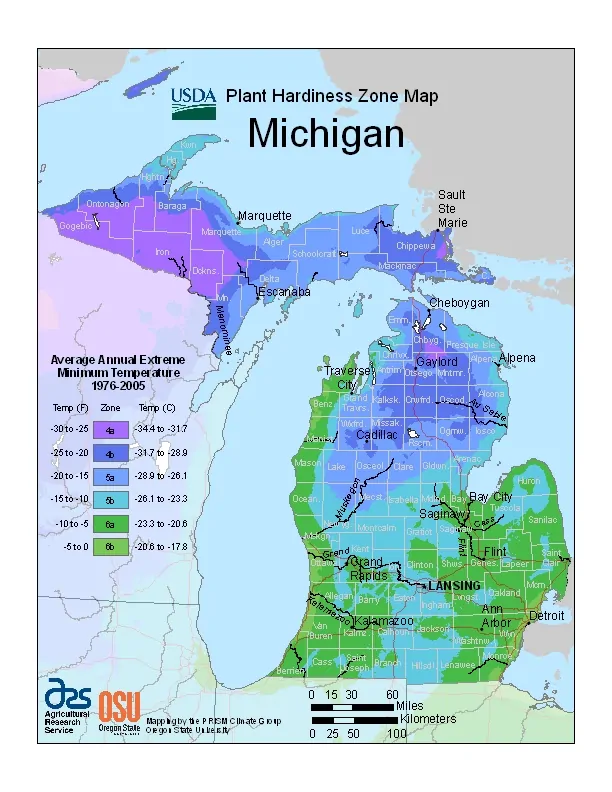 Michigan USDA Zone Map