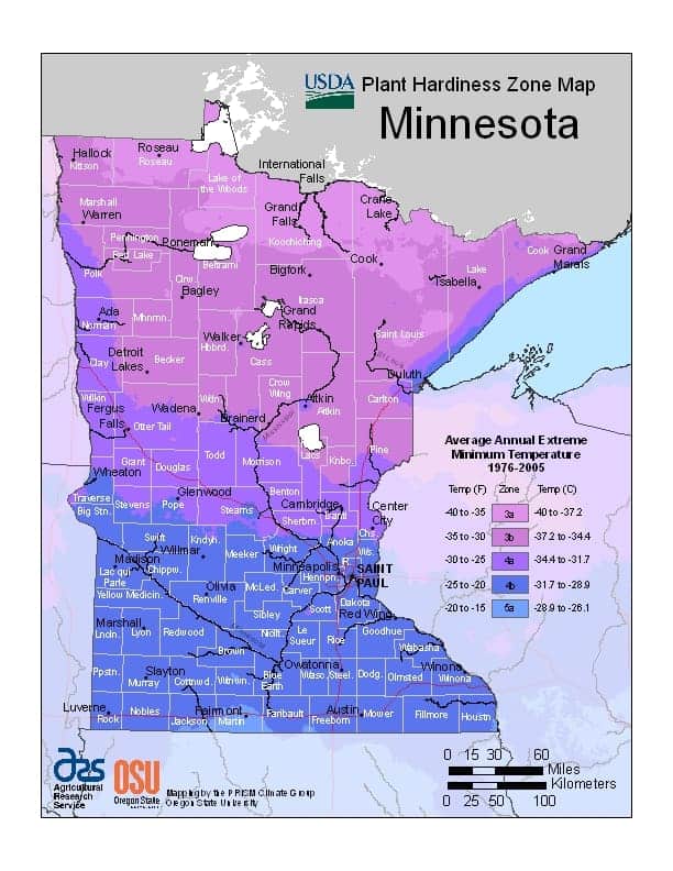 Minnesota USDA Zone Map