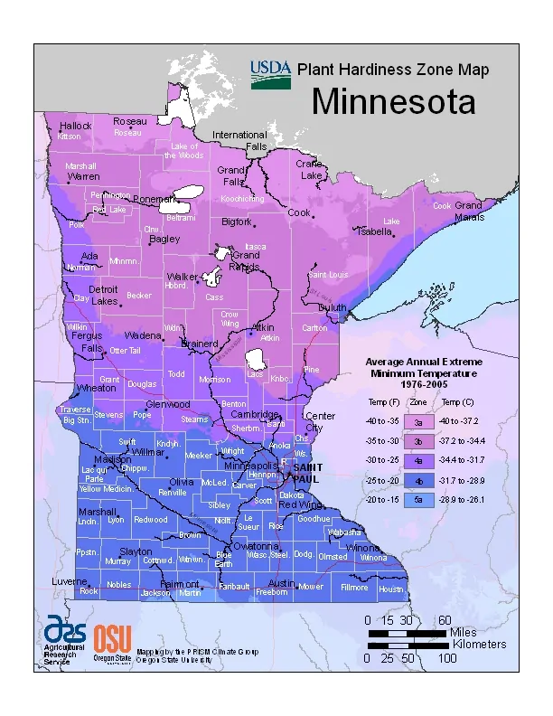 Minnesota USDA Zone Map