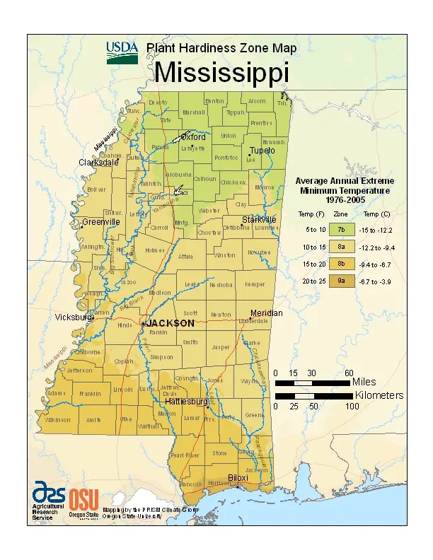 Mississippi USDA Zone Map