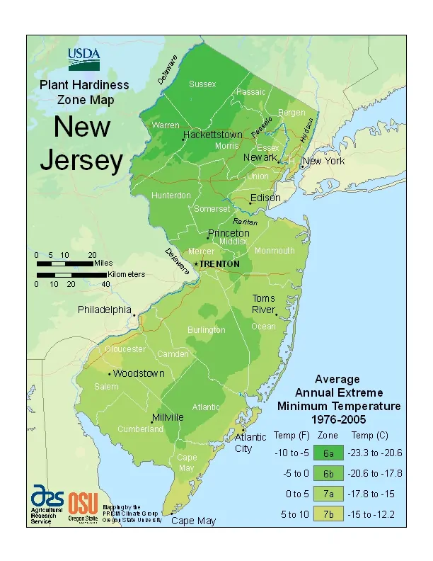 New Jersey USDA Zone Map