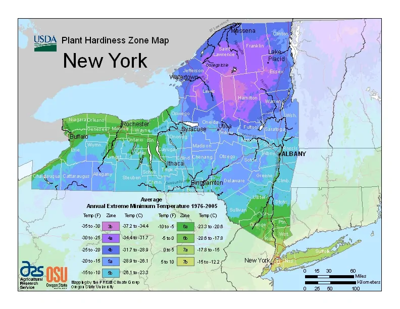 New York USDA Zone Map