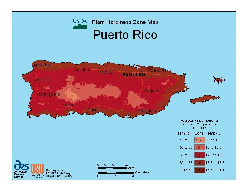 USDA hardiness zones map of Puerto Rico indicating average annual extreme minimum temperature ranges for various regions.