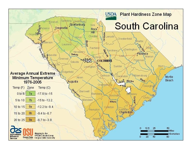 South Carolina USDA Zone Map