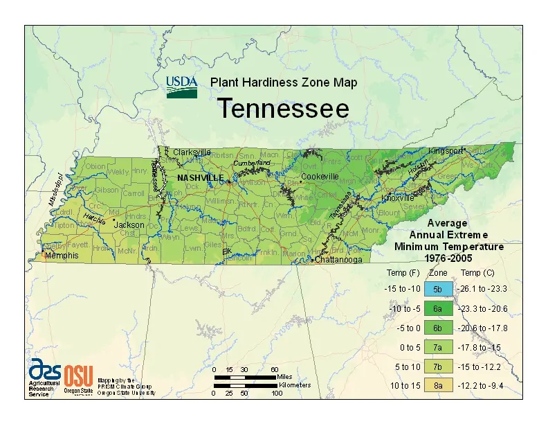 Tennessee USDA Zone Map