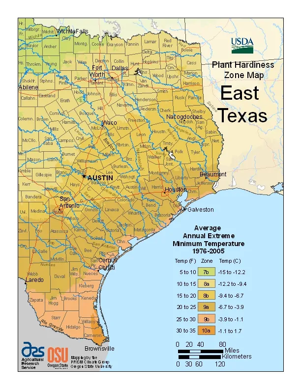 Eastern Texas USDA Zones