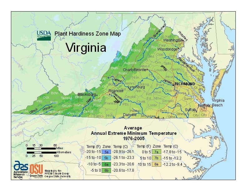 Virginia USDA Zone Map
