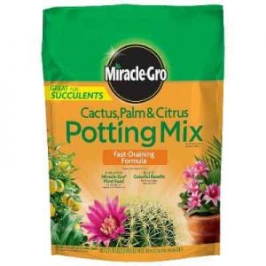 best potting soil for succulents and cacti