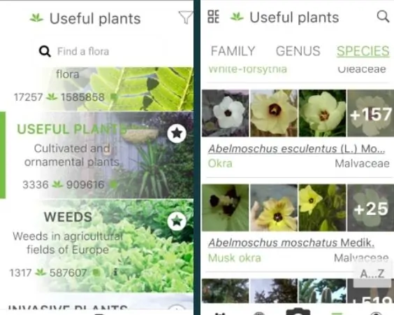 Plantnet - Plant Identification App Review