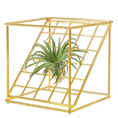 holder for air plants