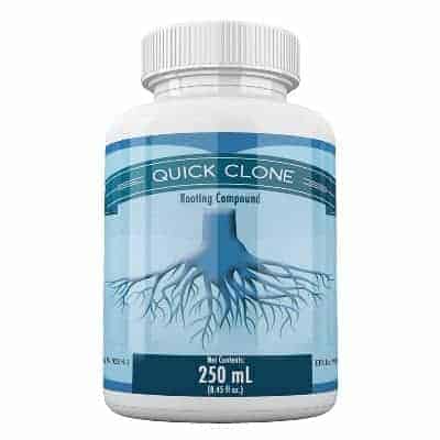 Quick Clone Gel - One of The Best Rooting Hormones