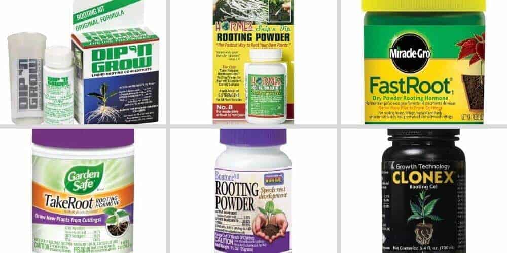 the-10-best-rooting-hormones-of-2023-top-reviews