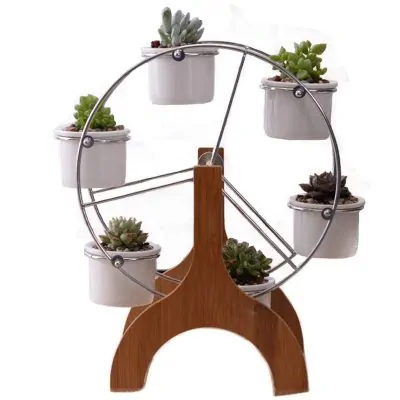 ferris wheel succulent pots set