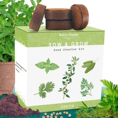 herbs seeds growing starter kit