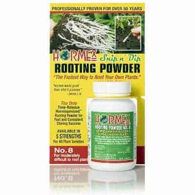 Hormex Rooting Powder- One of the Best Rooting Hormones