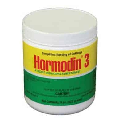 Hormodin 3 -  One of the Best Rooting Hormones