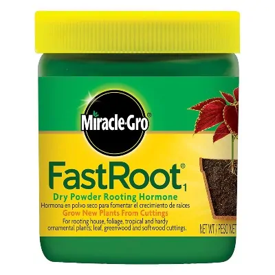 Miracle-Gro FastRoot Dry Powder - One of the Best Rooting Hormones