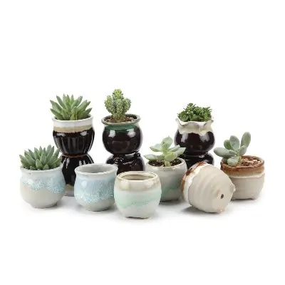 set of 6 succulents pots
