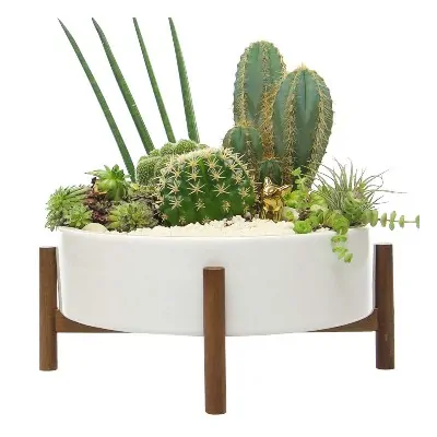 white succulent bowl with wood support