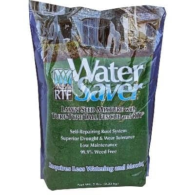 water saver grass seed