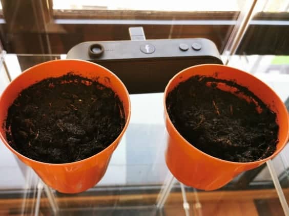 pots with soil