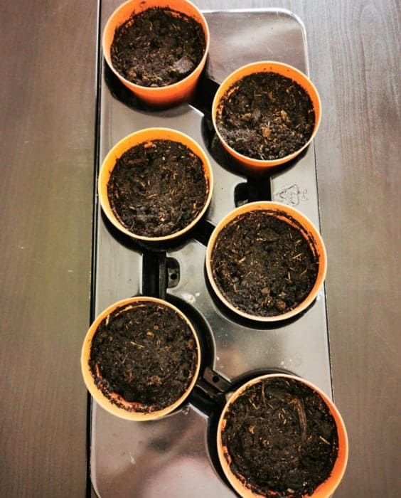 6 pots with soil