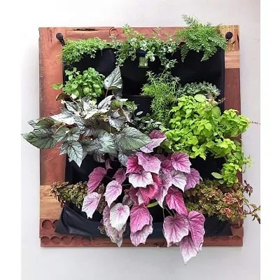 succulent wall planter pockets