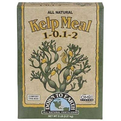 All Natural Kelp Meal