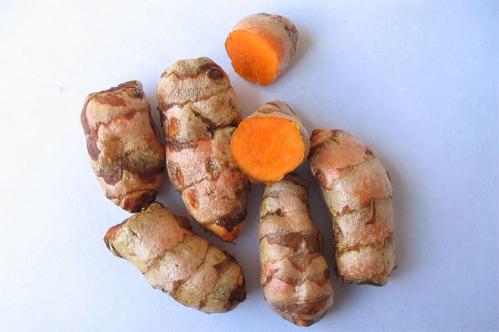 How to grow turmeric