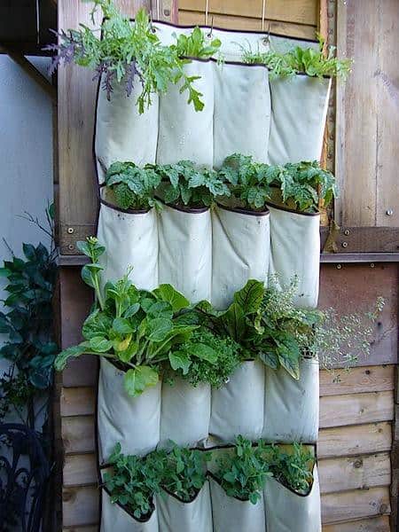 15 Vertical Garden Ideas To Create An, Vertical Gardening Ideas For Small Spaces