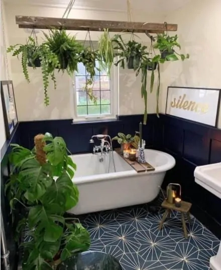 Bathroom and Vertical Garden Combo