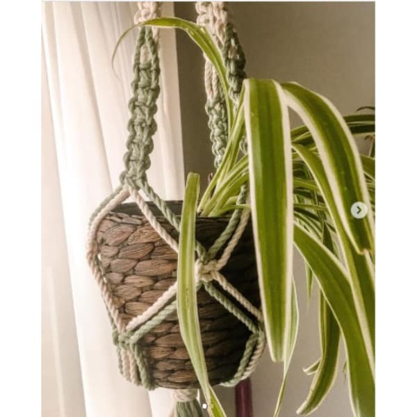macrame plant hanger ideas